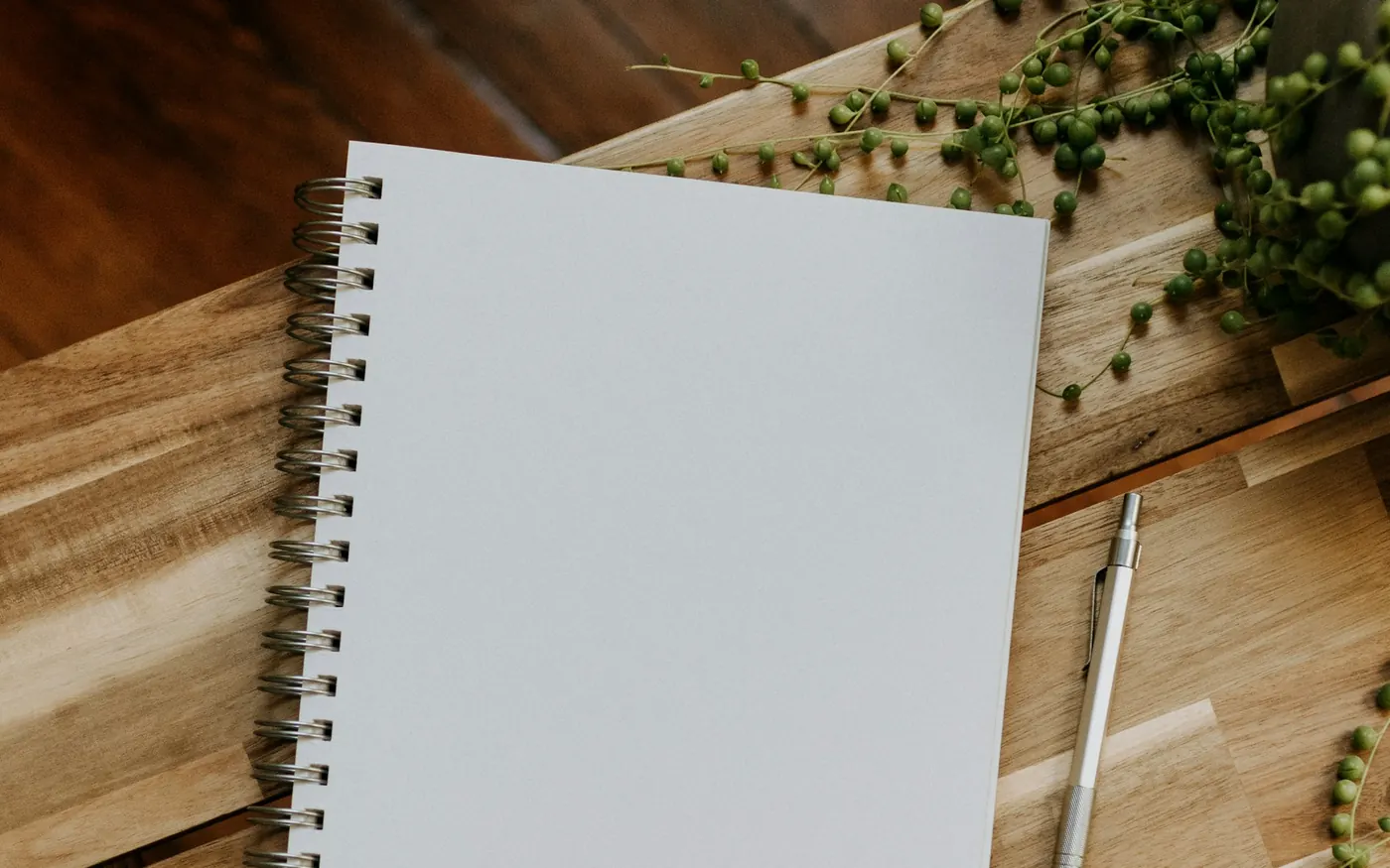 An open spiral notebook and pen on a wooden table beside a plant